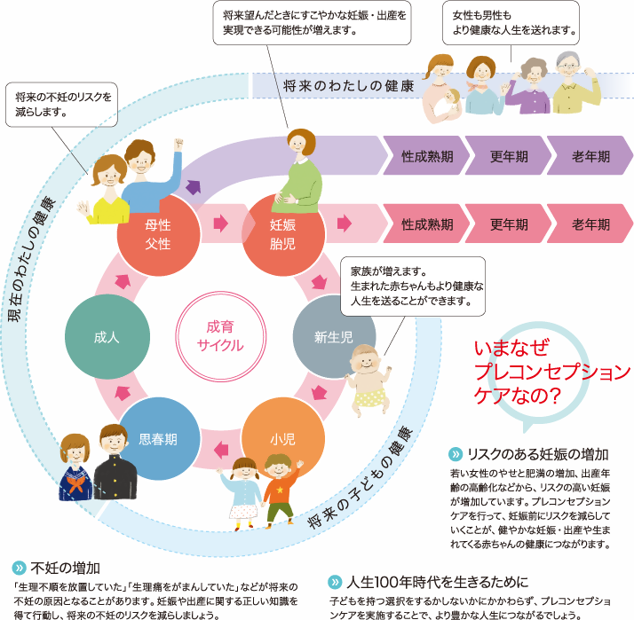 成育サイクルのイラスト